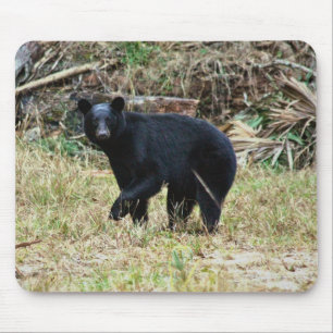 Florida Black Bear Mouse Pad