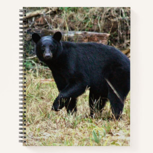 Florida Black Bear Notebook