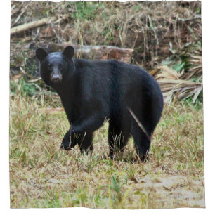 Florida Black Bear Shower Curtain