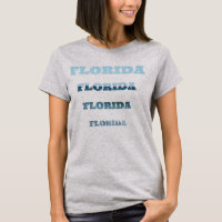Florida Blue Gradient Stack Design