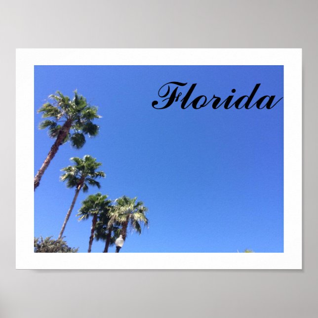 Florida Blue Sky Poster (Front)