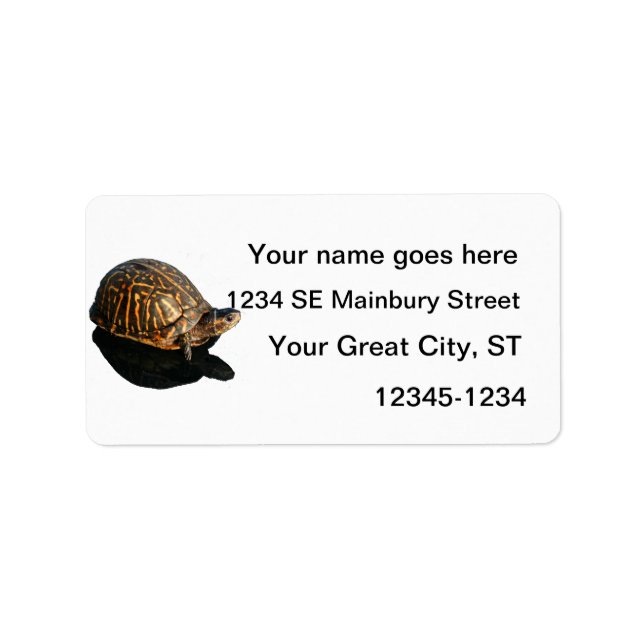 Florida Box turtle Photograph with Shadow Cutout Label (Front)