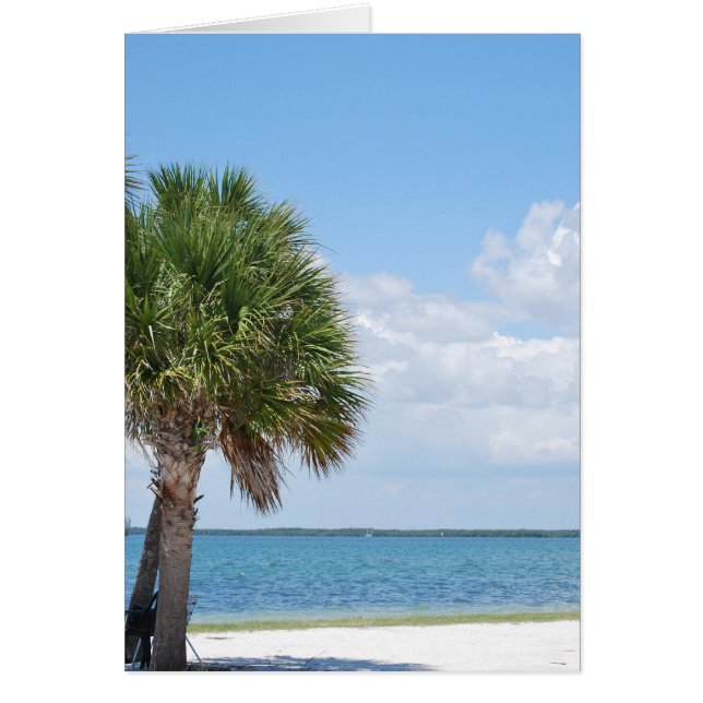 Florida - calm beach (Front)