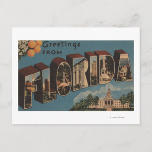 Florida (Capital Building) - Large Letter Postcard
