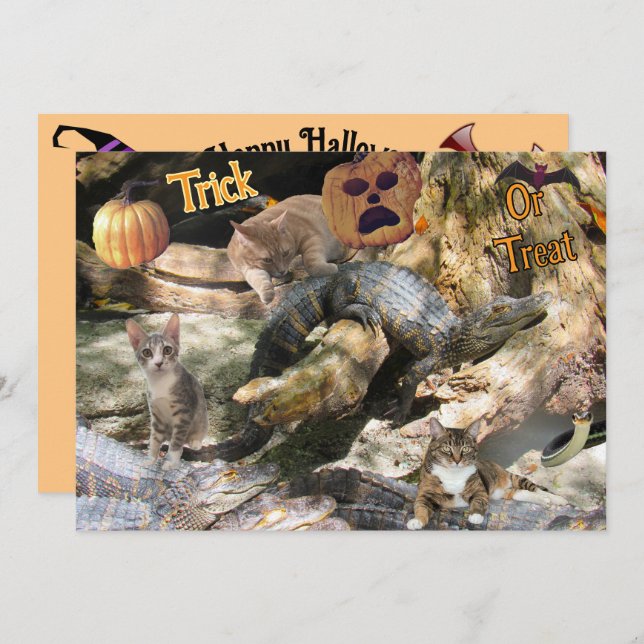 Florida Cat and Gator Flat Greeting Card (Front/Back)