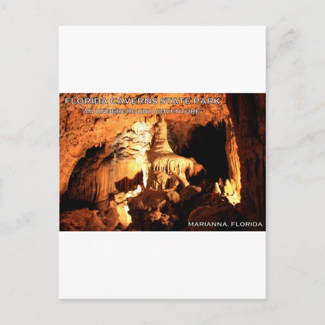 FLORIDA CAVERNS STATE PARK - Marianna, Florida Postcard (Front)