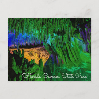 Florida Caverns State Park Postcard