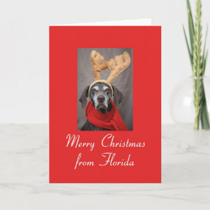 Florida   Christmas Card, state specific Holiday Card