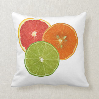 Florida Citrus Pillow