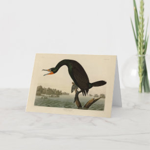 Florida Cormorant from Audubon's Birds of America Card