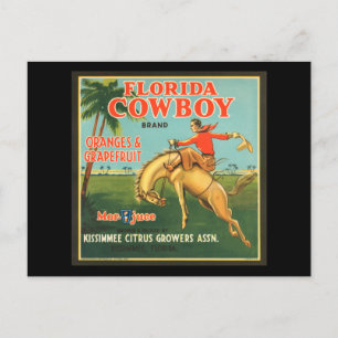 Florida Cowboy Oranges & Grapefruit Vintage Ad Postcard