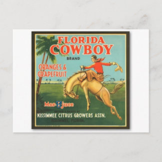 Florida Cowboy Postcard