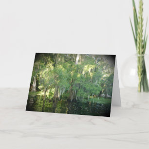 Florida Cypress Trees Note Card - Blank