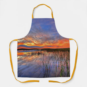 Florida Everglades Apron