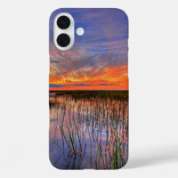 Florida Everglades