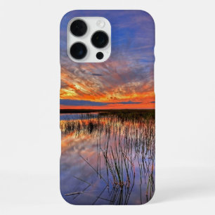 Florida Everglades iPhone 16 Pro Max Case
