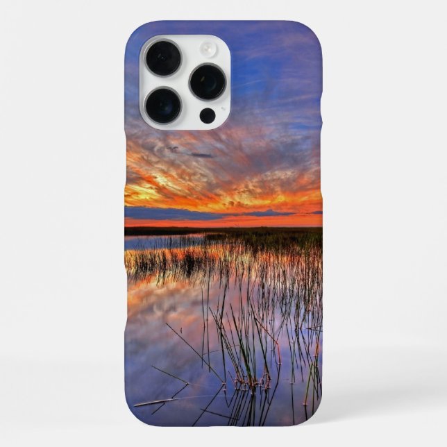 Florida Everglades iPhone Case (Back)