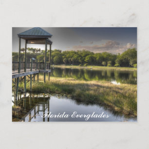Florida Everglades Postcard
