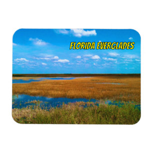 Florida Everglades Sawgrass, Sky & Reflections Magnet