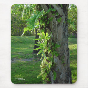 Florida ferns Mousepad