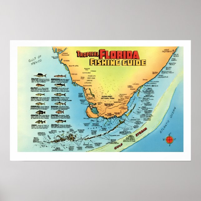 Florida Fishing Guide 16x24 Poster Print (Front)