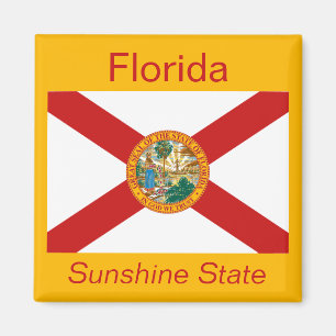 Florida Flag Magnet
