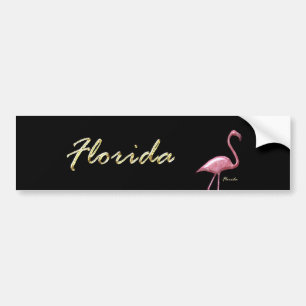 Florida Flamingo Bumper Sticker