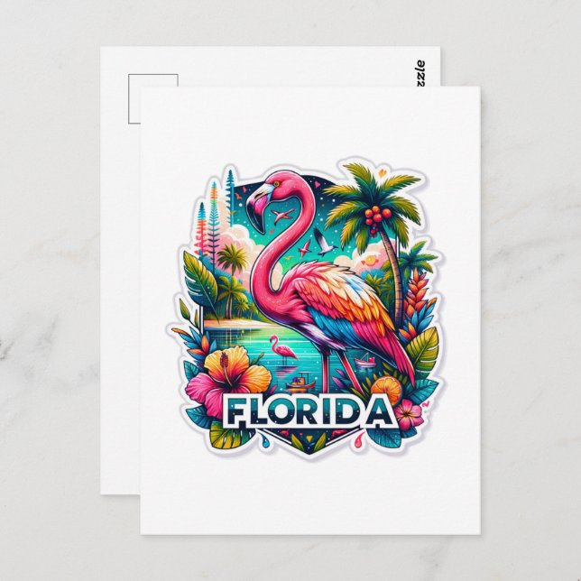 Florida, Flamingo, Postcrossing Postcard (Front/Back)