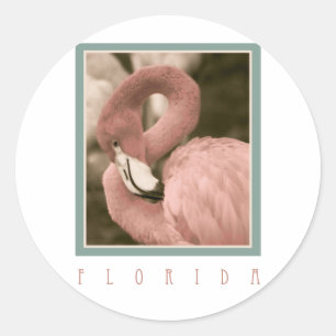 Florida Flamingos Classic Round Sticker