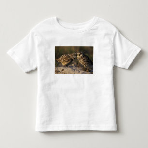 Florida, Fort Myers. Burrowing Owl pair bonding Toddler T-Shirt