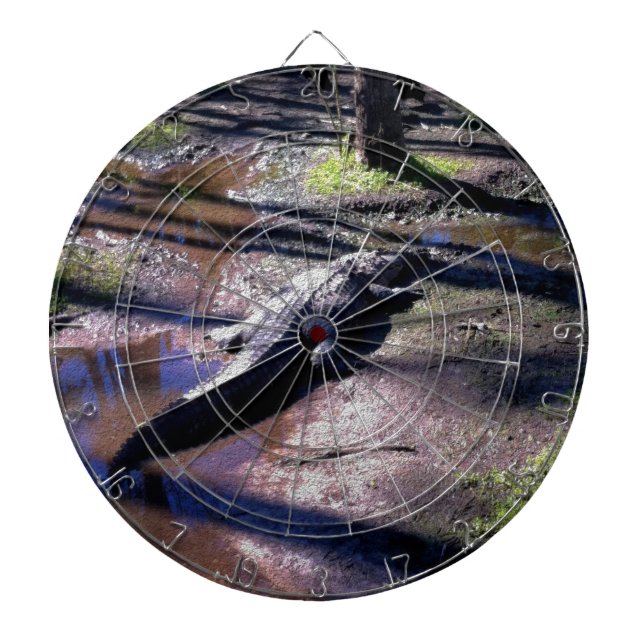 Florida Gator Dartboard (Front)