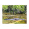 Florida Gator