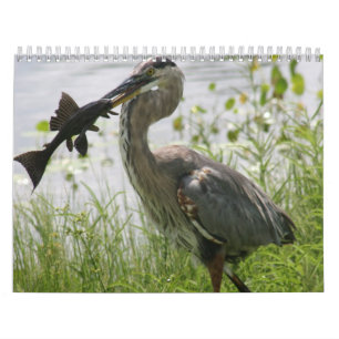 FLORIDA GREAT BLUE HERON CALENDAR