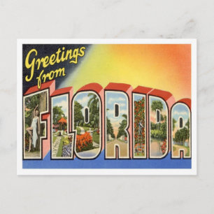 Florida Greetings From US States Postcard
