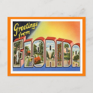 Florida Greetings Vintage Travel Postcard