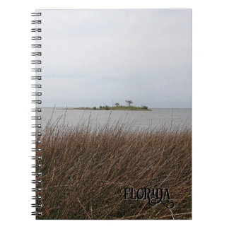 Florida Gulf Beach Forbidding Needlerush Photo Notebook