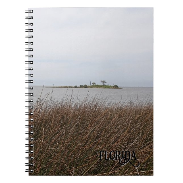 Florida Gulf Beach Forbidding Needlerush Photo Notebook (Front)