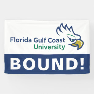 Florida Gulf Coast University Graduation Banner