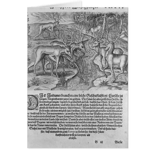 Florida Indians hunting deer (Front)