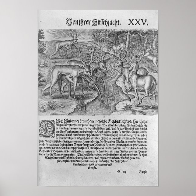 Florida Indians hunting deer Poster (Front)