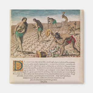 Florida Indians planting maize Magnet