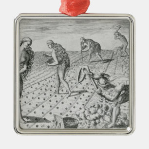 Florida Indians planting maize Metal Tree Decoration