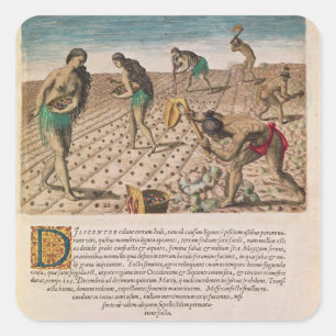 Florida Indians planting maize Square Sticker