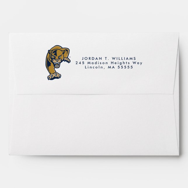 Florida International University Panthers Envelope (Back (Top Flap))