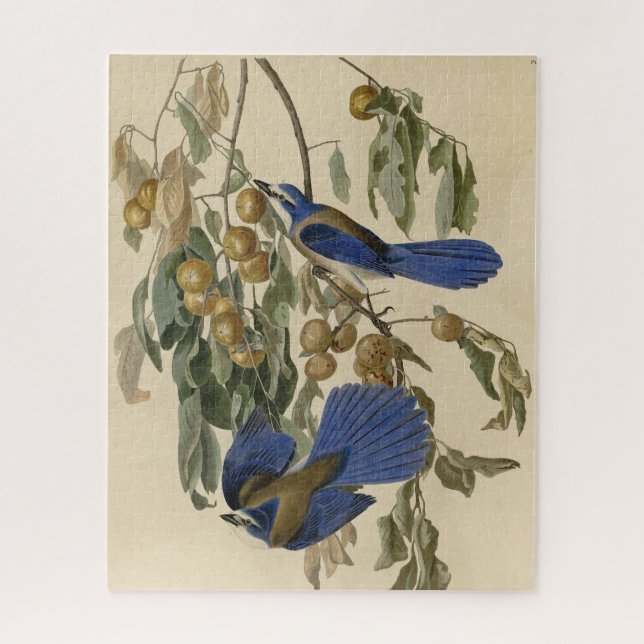 Florida Jay (Scrub-Jay) Audubon's Birds of America Jigsaw Puzzle (Vertical)