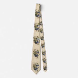 Florida Jay (Scrub-Jay) Audubon's Birds of America Tie