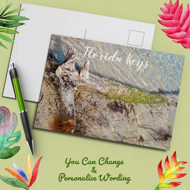 Florida Keys Bahia Honda Driftwood Shore Postcard (Creator Uploaded)