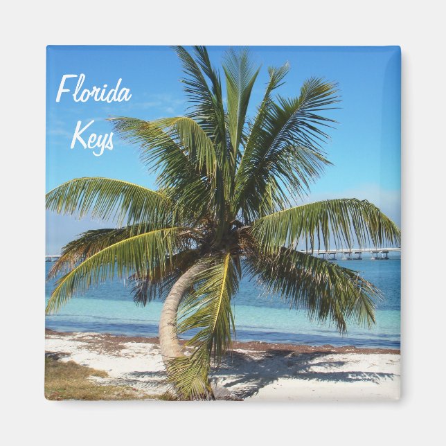 Florida Keys Bahia Honda State Park Palm Magnet (Front)