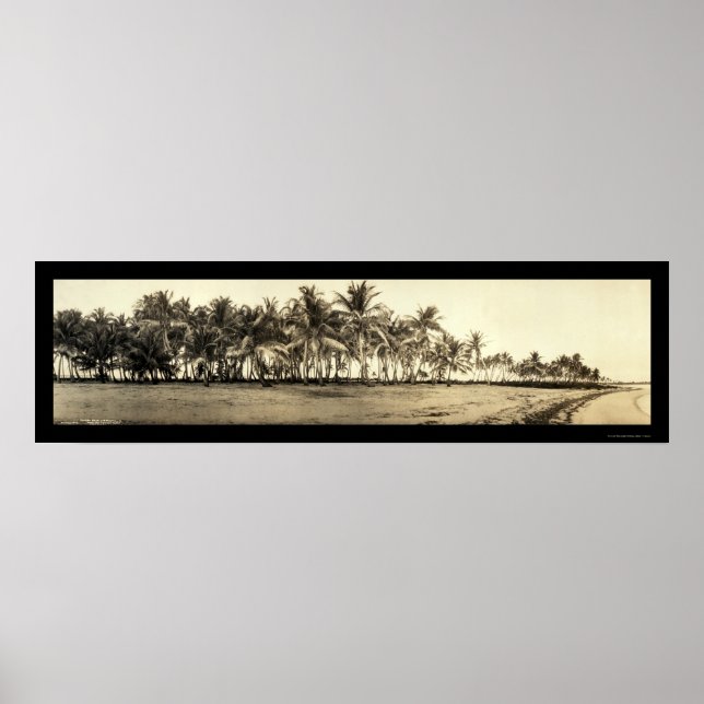 Florida Keys Fishing Photo 1912 Poster (Front)