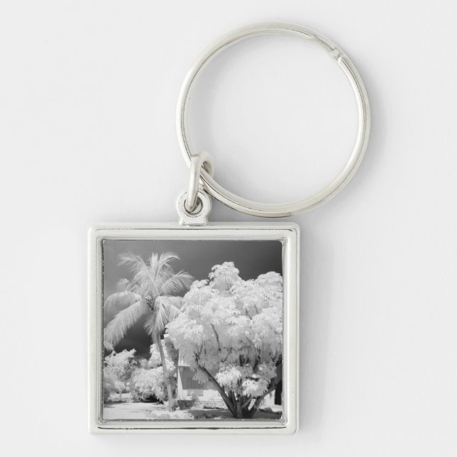 Florida Keys house and its palm trees, USA. 2 Key Ring (Front)